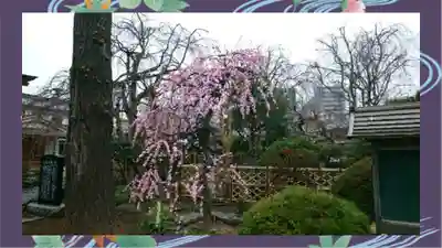 芳林寺(埼玉県)