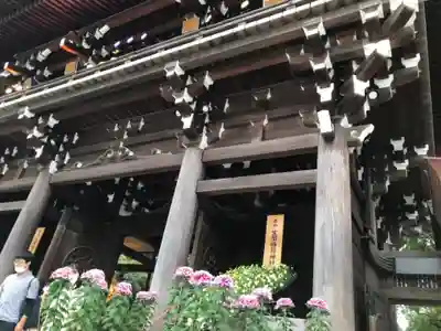 明治神宮の山門・神門