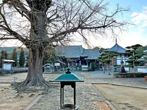 地蔵寺(徳島県)