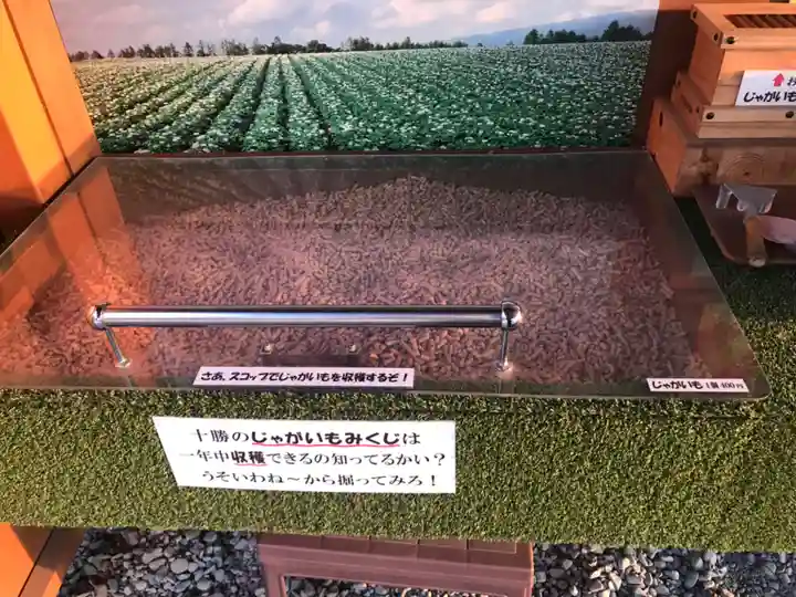 浦幌神社・乳神神社のおみくじ