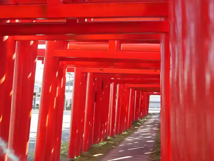 小泉稲荷神社の鳥居