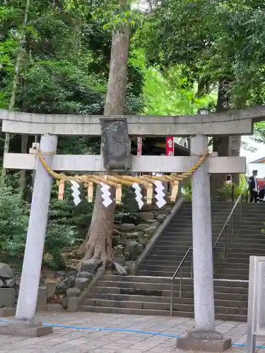世田谷八幡宮の{uncategorized: "未分類", other: "その他", undefined: "問題あり", building: "その他建物", grave: "お墓", sacred_gate: "鳥居", guardian: "狛犬", statue: "像", buddha: "仏像", history: "歴史", nature: "自然", garden: "庭園", animal: "動物", pagoda: "塔", temizu: "手水舎", mountain_gate: "山門・神門", sanctuary: "本殿・本堂", subordinate: "末社・摂社", art: "芸術", scenery: "景色", jizo: "地蔵", ema: "絵馬", goshuin: "御朱印", omikuji: "おみくじ", items: "授与品その他", amulet: "お守り", goshuincho: "御朱印帳", eats: "食事", festival: "お祭り", votive_dance: "神楽", shichigosan: "七五三参", wedding: "結婚式", experience: "体験その他", initially: "初詣", around: "周辺", anti_infection: "感染症対策"}