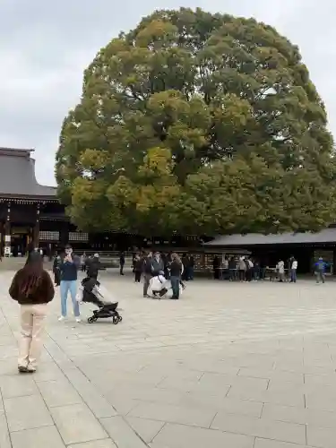 明治神宮の{uncategorized: "未分類", other: "その他", undefined: "問題あり", building: "その他建物", grave: "お墓", sacred_gate: "鳥居", guardian: "狛犬", statue: "像", buddha: "仏像", history: "歴史", nature: "自然", garden: "庭園", animal: "動物", pagoda: "塔", temizu: "手水舎", mountain_gate: "山門・神門", sanctuary: "本殿・本堂", subordinate: "末社・摂社", art: "芸術", scenery: "景色", jizo: "地蔵", ema: "絵馬", goshuin: "御朱印", omikuji: "おみくじ", items: "授与品その他", amulet: "お守り", goshuincho: "御朱印帳", eats: "食事", festival: "お祭り", votive_dance: "神楽", shichigosan: "七五三参", wedding: "結婚式", experience: "体験その他", initially: "初詣", around: "周辺", anti_infection: "感染症対策"}