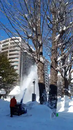 北海道神宮頓宮の自然