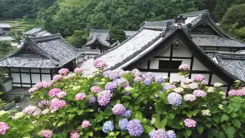 柳谷観音　楊谷寺のその他建物