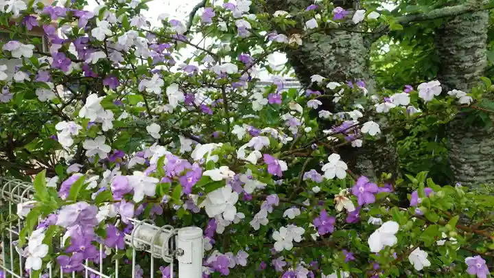 浄土寺(愛媛県)