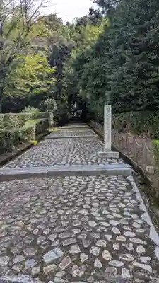 仲恭天皇 九條陵(京都府)