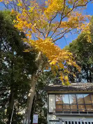 神鳥前川神社(神奈川県)