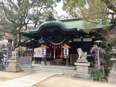 海老江八坂神社の本殿・本堂