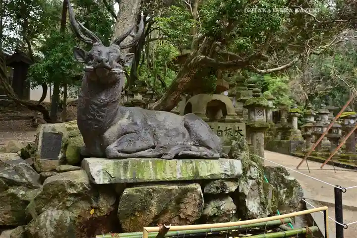 春日大社(奈良県)