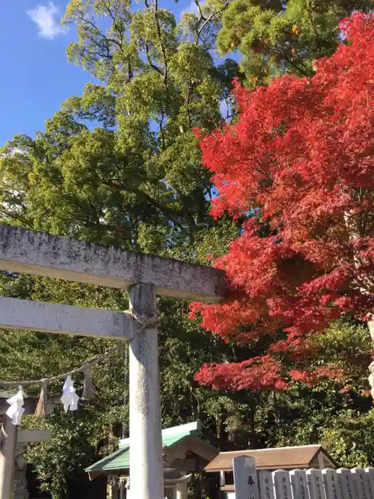 花岡神社の自然