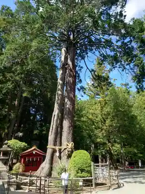 北口本宮冨士浅間神社(山梨県)