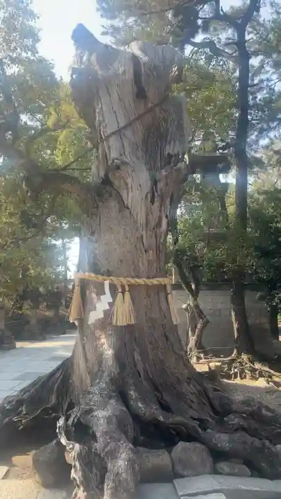 住吉大社の自然