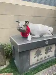 櫻天神社の狛犬