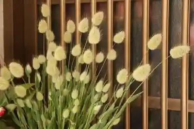 白幡神社の授与品その他