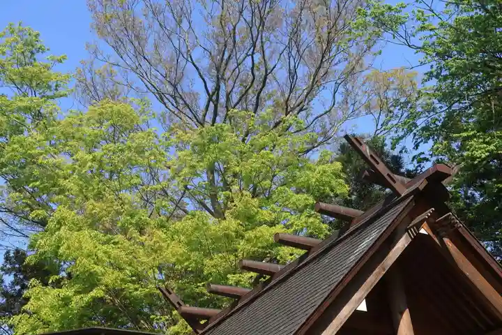 阿久津「田村神社」(郡山市阿久津町)旧社名:伊豆箱根三嶋三社の景色