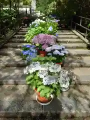 岡寺（龍蓋寺）(奈良県)