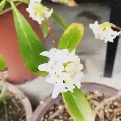 豊景神社の自然