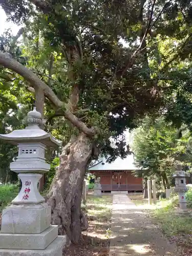鷲宮神社のその他建物