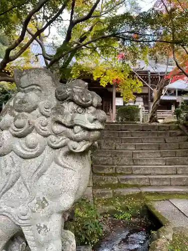 勝持寺（花の寺）の狛犬