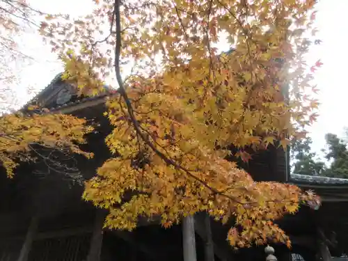 妙本寺のその他建物