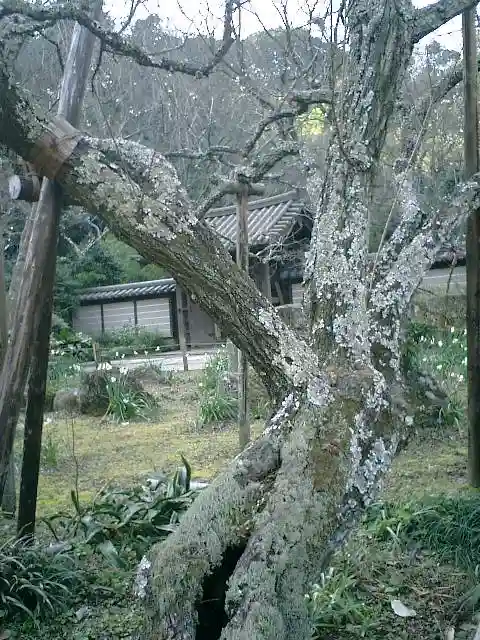 瑞泉寺のその他建物