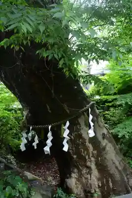 青渭神社(東京都)