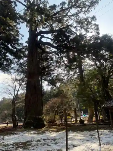 雷神社の{uncategorized: "未分類", other: "その他", undefined: "問題あり", building: "その他建物", grave: "お墓", sacred_gate: "鳥居", guardian: "狛犬", statue: "像", buddha: "仏像", history: "歴史", nature: "自然", garden: "庭園", animal: "動物", pagoda: "塔", temizu: "手水舎", mountain_gate: "山門・神門", sanctuary: "本殿・本堂", subordinate: "末社・摂社", art: "芸術", scenery: "景色", jizo: "地蔵", ema: "絵馬", goshuin: "御朱印", omikuji: "おみくじ", items: "授与品その他", amulet: "お守り", goshuincho: "御朱印帳", eats: "食事", festival: "お祭り", votive_dance: "神楽", shichigosan: "七五三参", wedding: "結婚式", experience: "体験その他", initially: "初詣", around: "周辺", anti_infection: "感染症対策"}