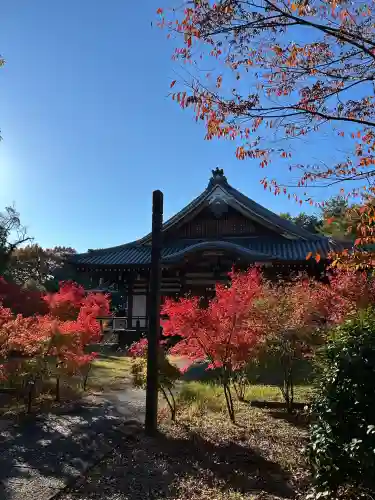 大森寺(愛知県)