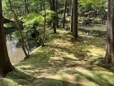 西芳寺(京都府)