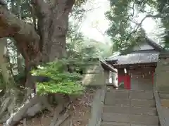 秋葉神社の建物その他