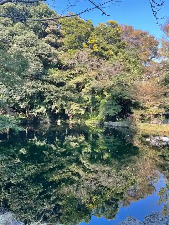 富士山本宮浅間大社(静岡県)