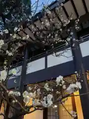 熊野神社の自然