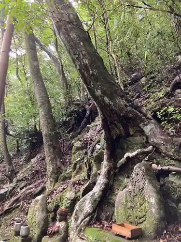大本山七宝瀧寺(大阪府)