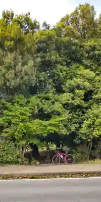 龍神社(奈良県)