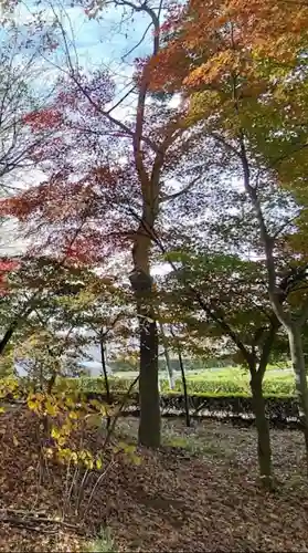西町神明社(東京都)