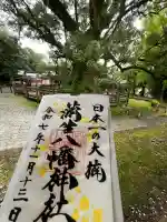 蒲生八幡神社(鹿児島県)