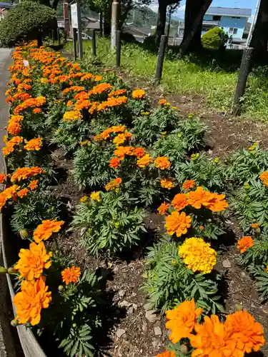 桂川神社(山梨県)