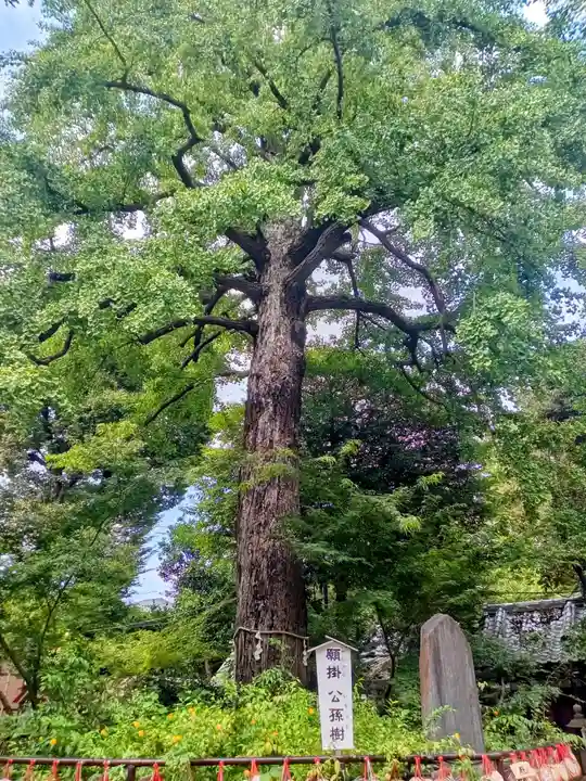 七社神社(東京都)