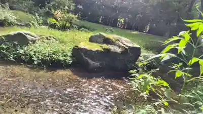 賀茂別雷神社（上賀茂神社）(京都府)