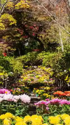長谷寺(奈良県)