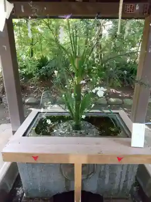 赤坂氷川神社の手水舎