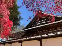 長圓寺のその他建物