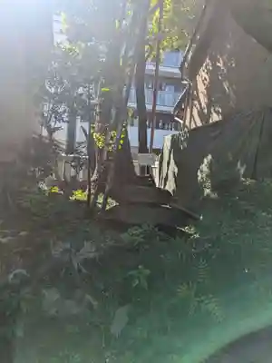 江島杉山神社(東京都)