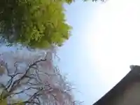 真光寺(千葉県)