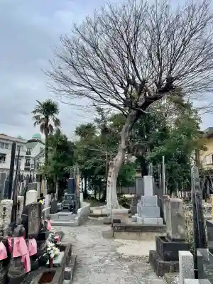 正慶寺の{uncategorized: "未分類", other: "その他", undefined: "問題あり", building: "その他建物", grave: "お墓", sacred_gate: "鳥居", guardian: "狛犬", statue: "像", buddha: "仏像", history: "歴史", nature: "自然", garden: "庭園", animal: "動物", pagoda: "塔", temizu: "手水舎", mountain_gate: "山門・神門", sanctuary: "本殿・本堂", subordinate: "末社・摂社", art: "芸術", scenery: "景色", jizo: "地蔵", ema: "絵馬", goshuin: "御朱印", omikuji: "おみくじ", items: "授与品その他", amulet: "お守り", goshuincho: "御朱印帳", eats: "食事", festival: "お祭り", votive_dance: "神楽", shichigosan: "七五三参", wedding: "結婚式", experience: "体験その他", initially: "初詣", around: "周辺", anti_infection: "感染症対策"}