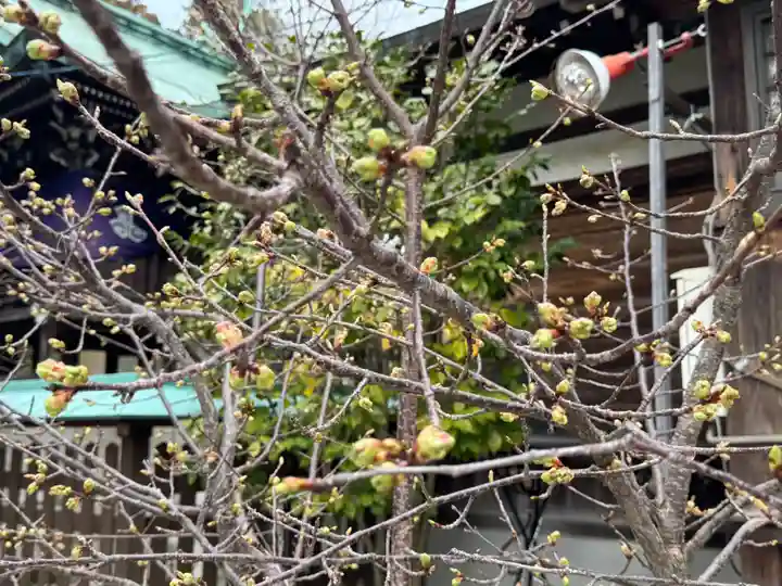 観音神社(広島県)