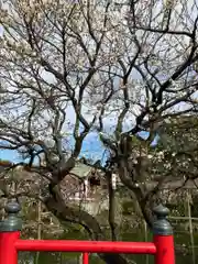 亀戸天神社(東京都)