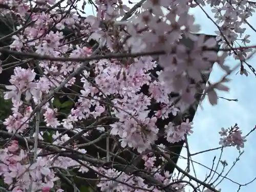 鷲尾愛宕神社の{uncategorized: "未分類", other: "その他", undefined: "問題あり", building: "その他建物", grave: "お墓", sacred_gate: "鳥居", guardian: "狛犬", statue: "像", buddha: "仏像", history: "歴史", nature: "自然", garden: "庭園", animal: "動物", pagoda: "塔", temizu: "手水舎", mountain_gate: "山門・神門", sanctuary: "本殿・本堂", subordinate: "末社・摂社", art: "芸術", scenery: "景色", jizo: "地蔵", ema: "絵馬", goshuin: "御朱印", omikuji: "おみくじ", items: "授与品その他", amulet: "お守り", goshuincho: "御朱印帳", eats: "食事", festival: "お祭り", votive_dance: "神楽", shichigosan: "七五三参", wedding: "結婚式", experience: "体験その他", initially: "初詣", around: "周辺", anti_infection: "感染症対策"}