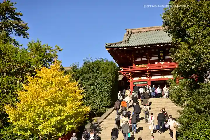 鶴岡八幡宮の本殿・本堂